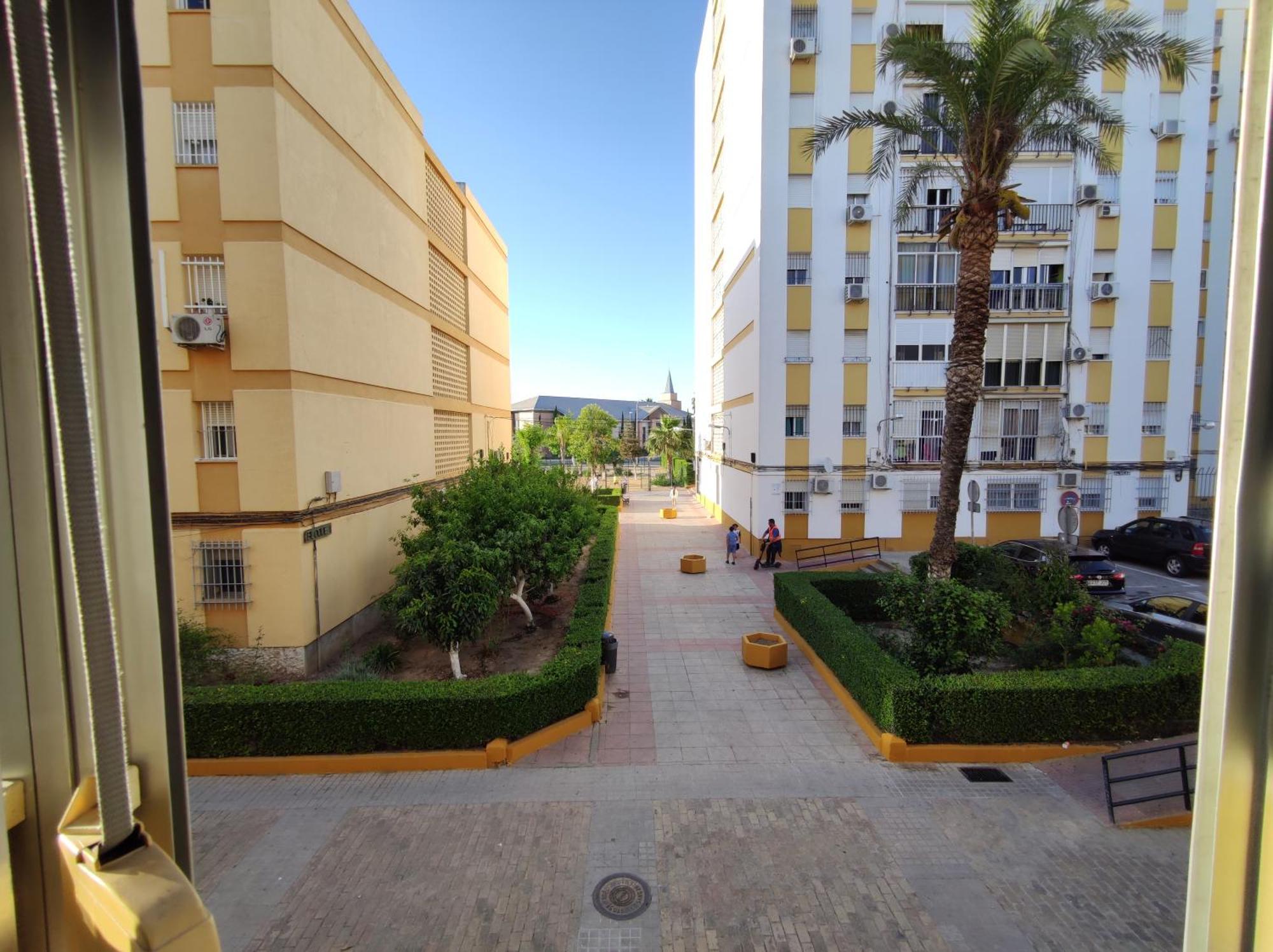Apartamento Celia Sevilla Bagian luar foto
